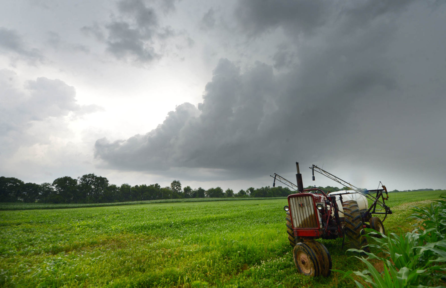 Carlisle farmland